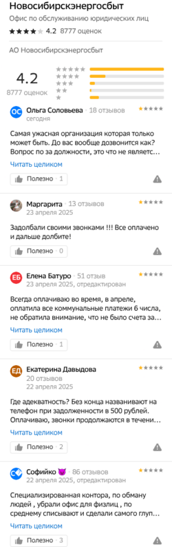 Новосибирцы любят Новосибирскэнергосбыт